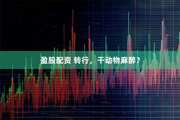 盈股配资 转行，干动物麻醉？