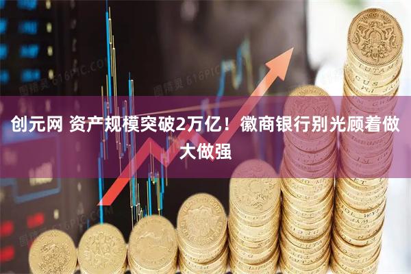 创元网 资产规模突破2万亿！徽商银行别光顾着做大做强