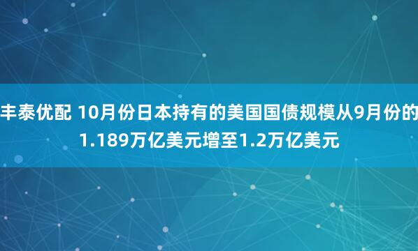 丰泰优配 10月份日本持有的美国国债规模从9月份的1.189万亿美元增至1.2万亿美元